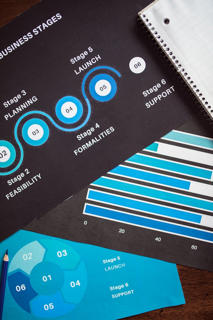brand-02 Detailed charts outlining key business stages for strategic planning.